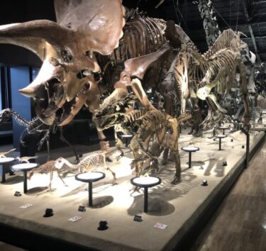 熊本の「御船町恐竜博物館」は、化石発掘体験もできる恐竜好きにはたまらない夏休みおすすめスポット！