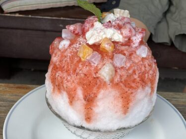 南阿蘇の久永屋で絶品かき氷とシフォンケーキを満喫！〜長陽駅の絶景カフェ